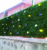 cim-cit