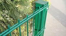 double_panel_cit