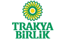 telçit Telçit